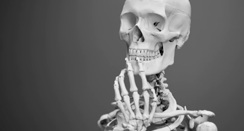 medical degree